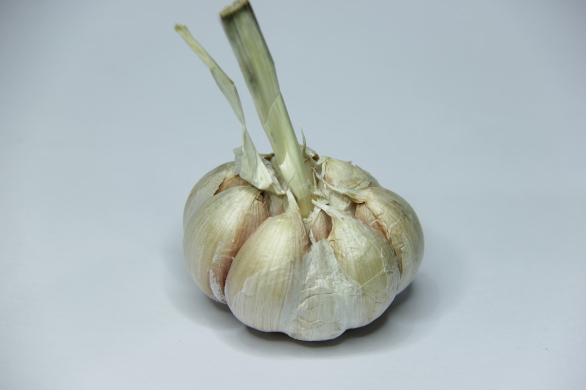 Té de Cúrcuma Dorada
